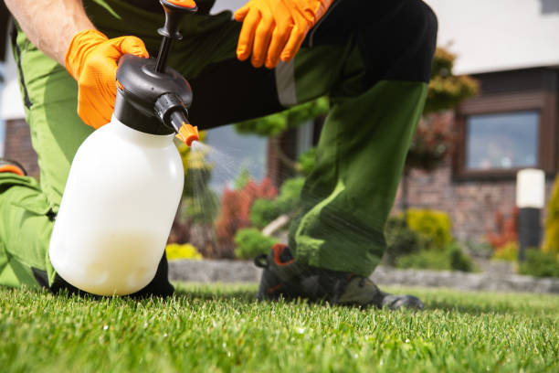 Best Local Pest Control Services  in Phenix City, AL