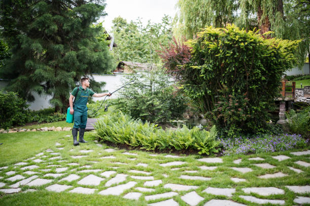 Best Ant Control Services  in Phenix City, AL