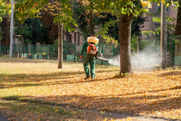 Professional Pest Control in Phenix City, AL
