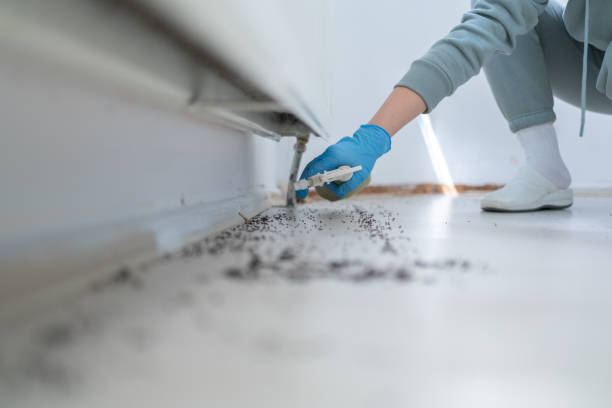 Best Pest Removal Services  in Phenix City, AL